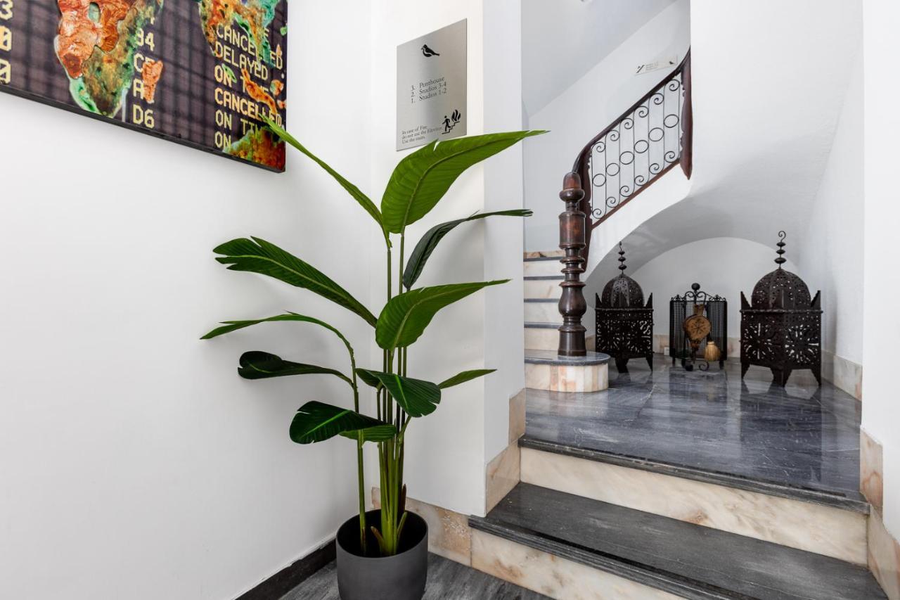 Pinzon Studios & Penthouse Αλικάντε Εξωτερικό φωτογραφία